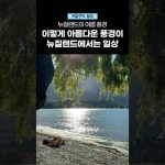 1768207809 maxresdefault infoshare - nz immigration news / 뉴질랜드 이민정보