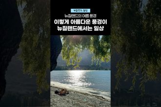 1768207809 maxresdefault infoshare - nz immigration news / 뉴질랜드 이민정보