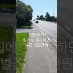 1768213210 maxresdefault infoshare - nz immigration news / 뉴질랜드 이민정보