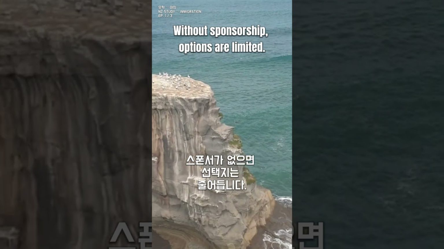 1768312209 maxresdefault infoshare - nz immigration news / 뉴질랜드 이민정보
