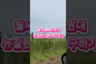 1768897210 maxresdefault infoshare - nz immigration news / 뉴질랜드 이민정보