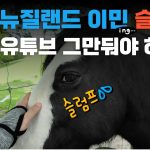 1769161809 maxresdefault infoshare - nz immigration news / 뉴질랜드 이민정보