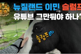1769161809 maxresdefault infoshare - nz immigration news / 뉴질랜드 이민정보