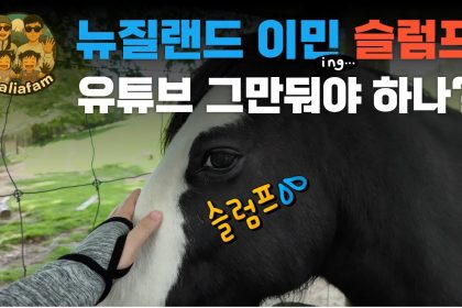 1769161809 maxresdefault infoshare - nz immigration news / 뉴질랜드 이민정보