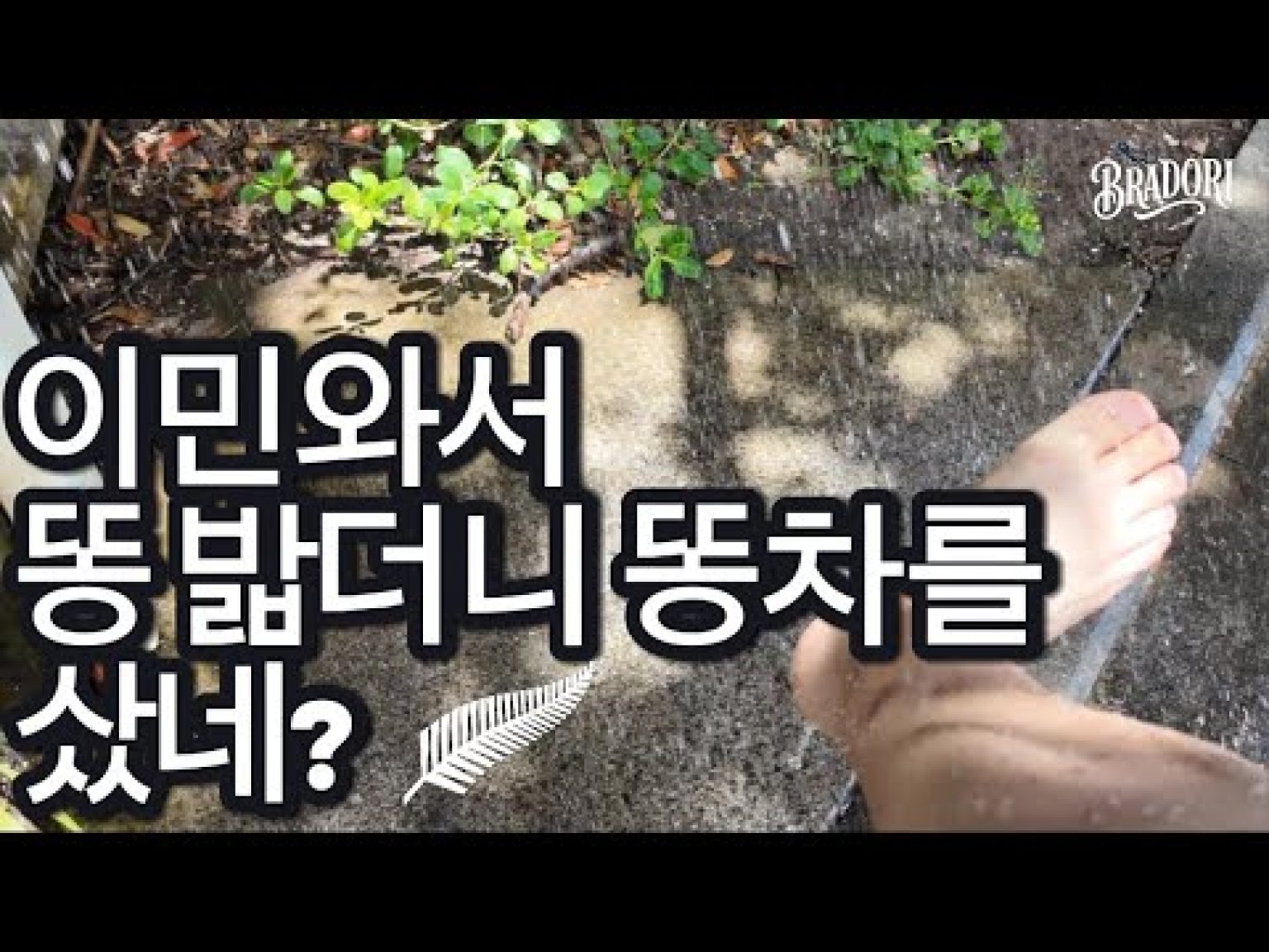 1769433010 hqdefault infoshare - nz immigration news / 뉴질랜드 이민정보