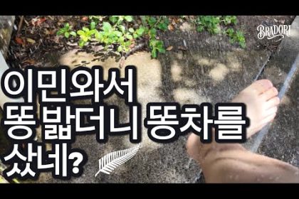 1769433010 hqdefault infoshare - nz immigration news / 뉴질랜드 이민정보
