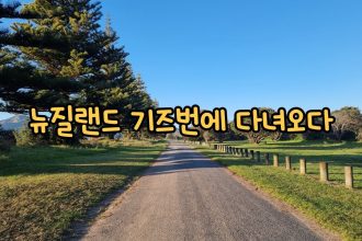 1769506214 maxresdefault infoshare - nz immigration news / 뉴질랜드 이민정보