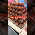 1769506810 maxresdefault infoshare - nz immigration news / 뉴질랜드 이민정보