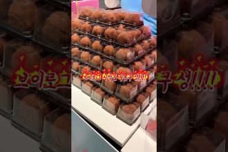 1769506810 maxresdefault infoshare - nz immigration news / 뉴질랜드 이민정보