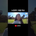 1769507409 maxresdefault infoshare - nz immigration news / 뉴질랜드 이민정보