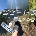1769596210 maxresdefault infoshare - nz immigration news / 뉴질랜드 이민정보