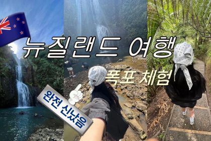 1769596210 maxresdefault infoshare - nz immigration news / 뉴질랜드 이민정보