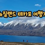 1769625610 maxresdefault infoshare - nz immigration news / 뉴질랜드 이민정보