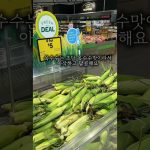 1769678410 maxresdefault infoshare - nz immigration news / 뉴질랜드 이민정보
