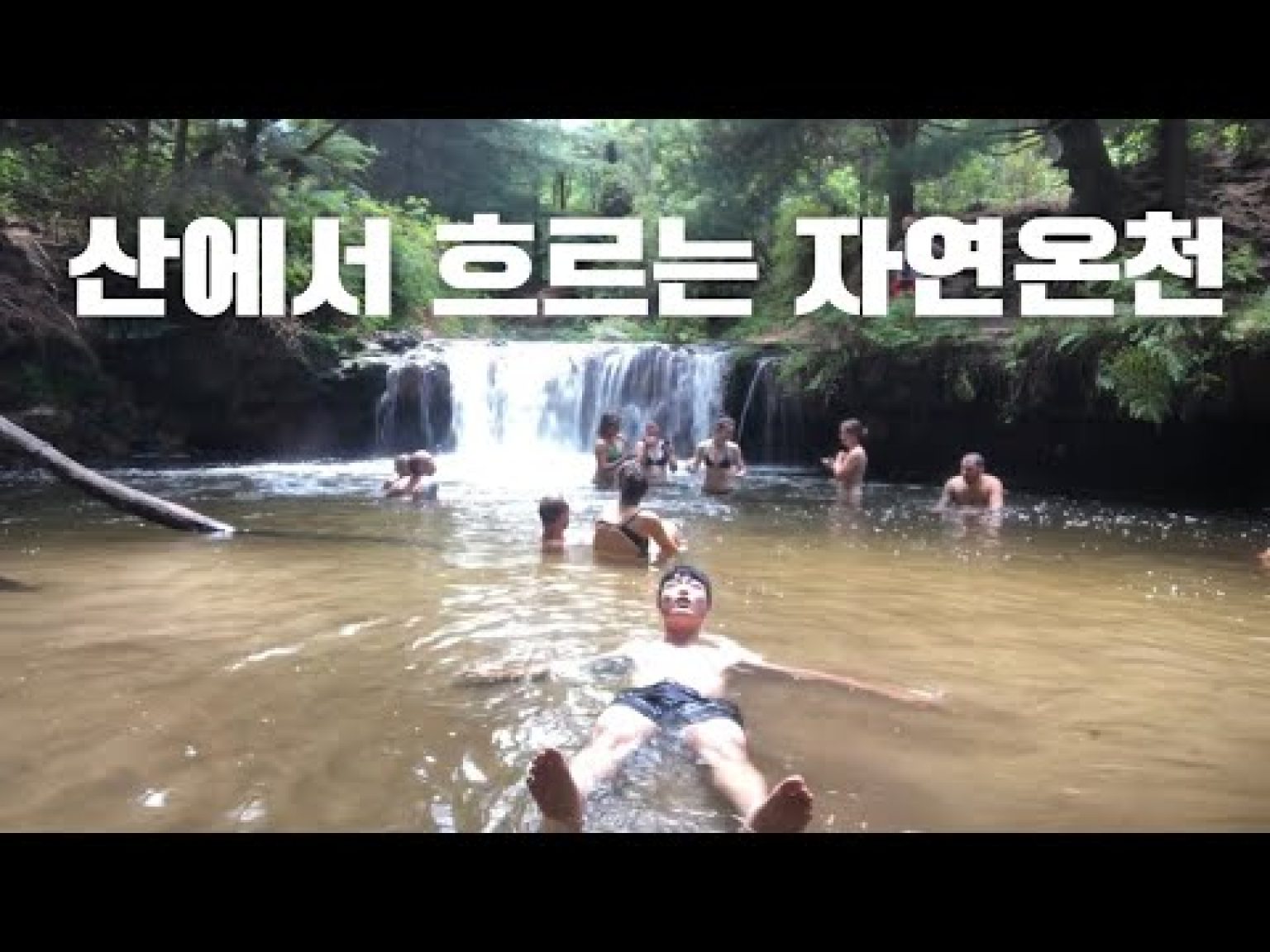 1769680209 hqdefault infoshare - nz immigration news / 뉴질랜드 이민정보