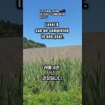 1769680811 maxresdefault infoshare - nz immigration news / 뉴질랜드 이민정보