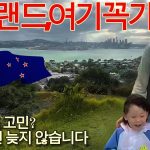 1769933410 maxresdefault infoshare - nz immigration news / 뉴질랜드 이민정보