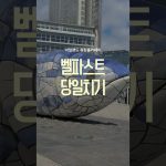 1770110414 maxresdefault infoshare - nz immigration news / 뉴질랜드 이민정보