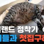 1770366612 maxresdefault infoshare - nz immigration news / 뉴질랜드 이민정보