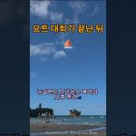 1770457809 maxresdefault infoshare - nz immigration news / 뉴질랜드 이민정보