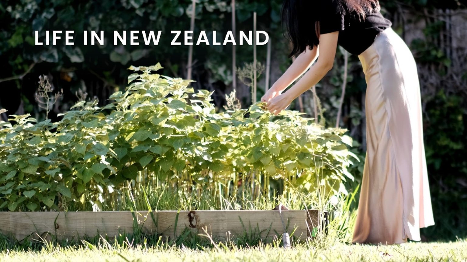 1770459009 maxresdefault infoshare - nz immigration news / 뉴질랜드 이민정보