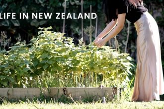 1770459009 maxresdefault infoshare - nz immigration news / 뉴질랜드 이민정보