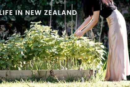 1770459009 maxresdefault infoshare - nz immigration news / 뉴질랜드 이민정보
