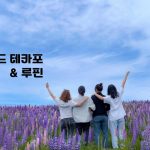 1770468011 maxresdefault infoshare - nz immigration news / 뉴질랜드 이민정보