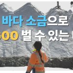 1770538210 maxresdefault infoshare - nz immigration news / 뉴질랜드 이민정보