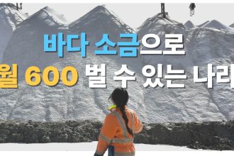 1770538210 maxresdefault infoshare - nz immigration news / 뉴질랜드 이민정보