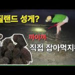 1770624016 hqdefault infoshare - nz immigration news / 뉴질랜드 이민정보