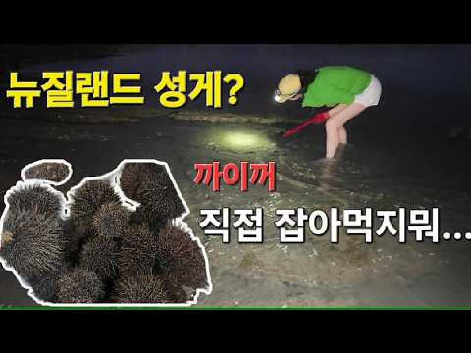 1770624016 hqdefault infoshare - nz immigration news / 뉴질랜드 이민정보