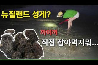 1770624016 hqdefault infoshare - nz immigration news / 뉴질랜드 이민정보