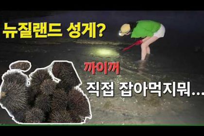 1770624016 hqdefault infoshare - nz immigration news / 뉴질랜드 이민정보