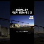 1770796812 maxresdefault infoshare - nz immigration news / 뉴질랜드 이민정보