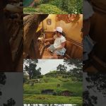 1770802211 maxresdefault infoshare - nz immigration news / 뉴질랜드 이민정보