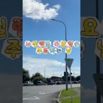 1770813610 maxresdefault infoshare - nz immigration news / 뉴질랜드 이민정보