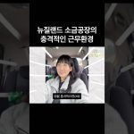 1770889808 maxresdefault infoshare - nz immigration news / 뉴질랜드 이민정보