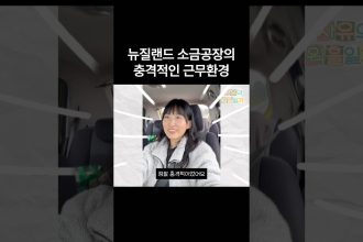 1770889808 maxresdefault infoshare - nz immigration news / 뉴질랜드 이민정보