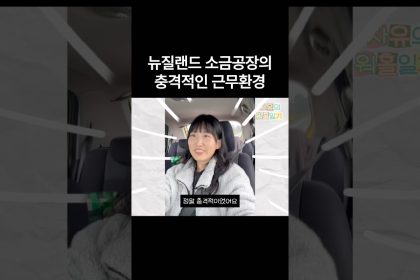 1770889808 maxresdefault infoshare - nz immigration news / 뉴질랜드 이민정보