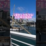 1771404009 maxresdefault infoshare - nz immigration news / 뉴질랜드 이민정보
