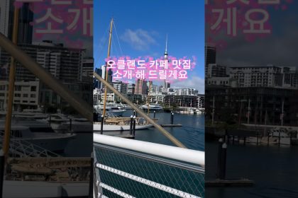 1771404009 maxresdefault infoshare - nz immigration news / 뉴질랜드 이민정보
