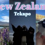 1771405811 maxresdefault infoshare - nz immigration news / 뉴질랜드 이민정보