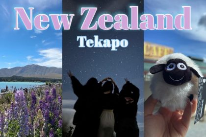 1771405811 maxresdefault infoshare - nz immigration news / 뉴질랜드 이민정보