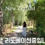1771408811 maxresdefault infoshare - nz immigration news / 뉴질랜드 이민정보