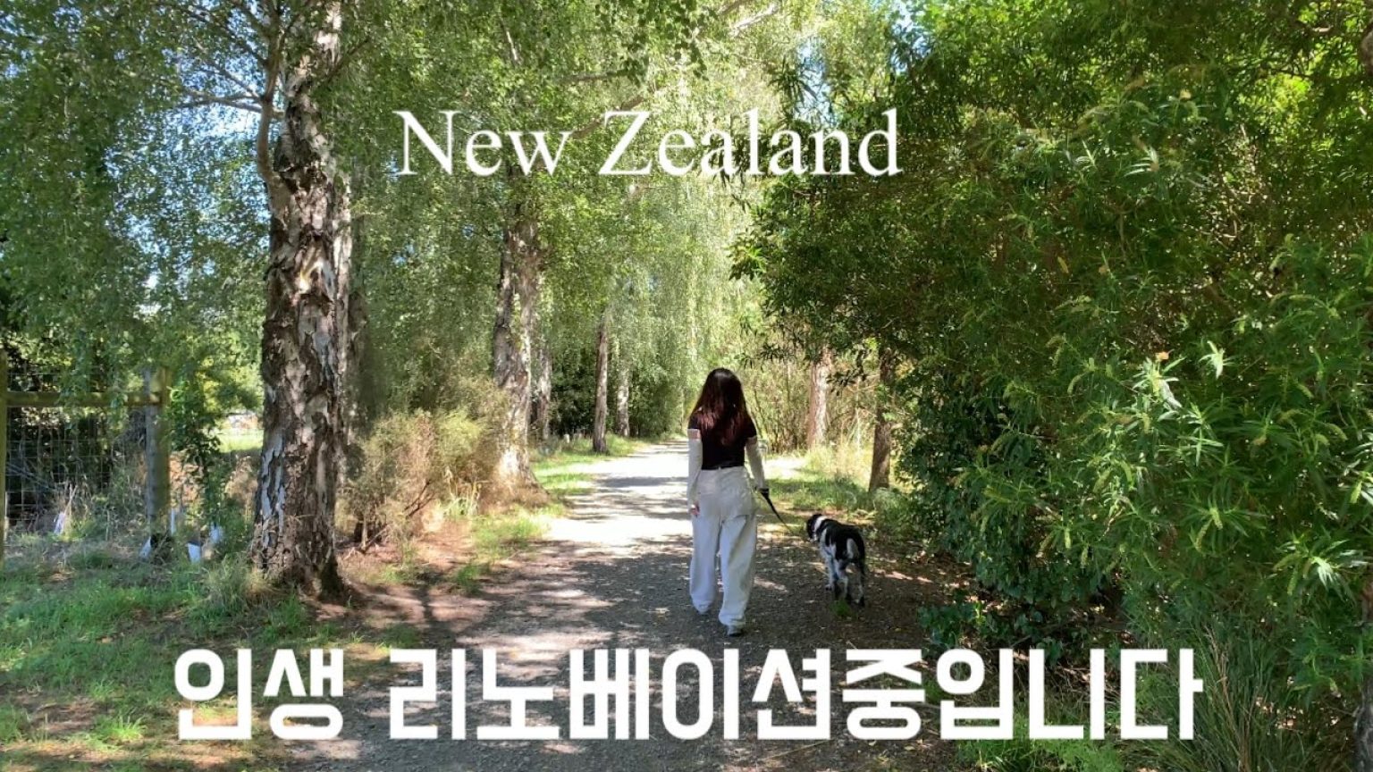 1771408811 maxresdefault infoshare - nz immigration news / 뉴질랜드 이민정보
