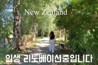 1771408811 maxresdefault infoshare - nz immigration news / 뉴질랜드 이민정보