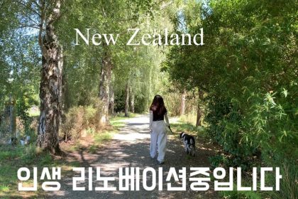 1771408811 maxresdefault infoshare - nz immigration news / 뉴질랜드 이민정보