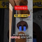 1771410009 maxresdefault infoshare - nz immigration news / 뉴질랜드 이민정보