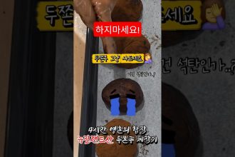 1771410009 maxresdefault infoshare - nz immigration news / 뉴질랜드 이민정보